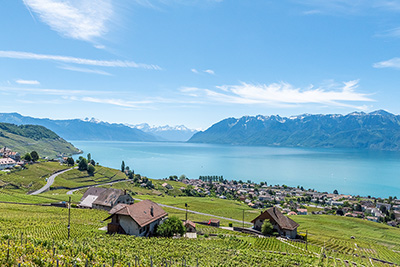 lavaux