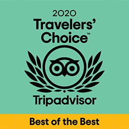 tripadvisor travellers choice award 2020